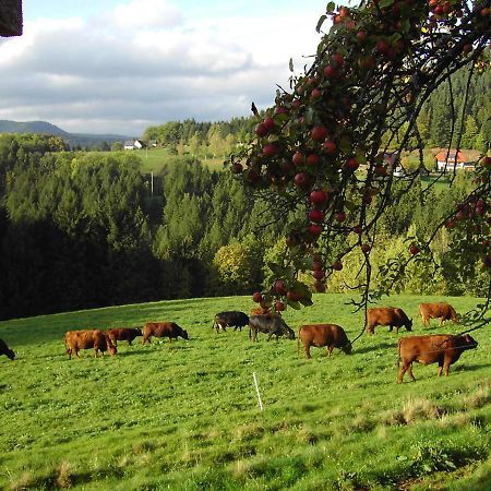 Ferienwohnung Hofenhof シルタッハ エクステリア 写真