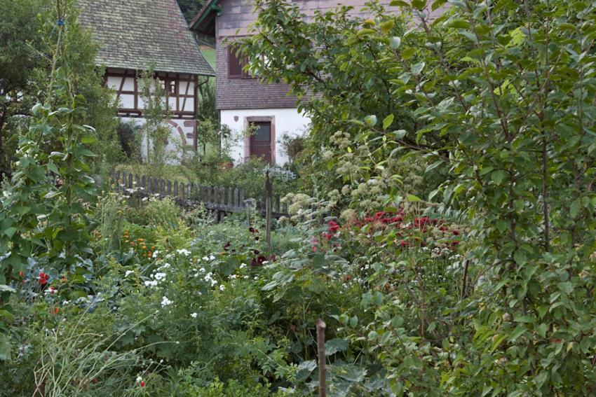 Ferienwohnung Hofenhof シルタッハ エクステリア 写真